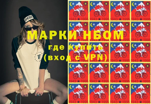 гашик Заполярный