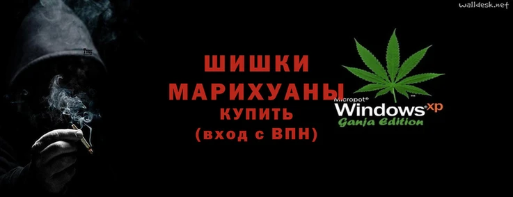 трава Белокуриха