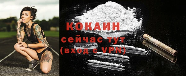 гидропоника Богданович