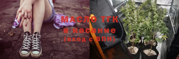 мдпв Богородск