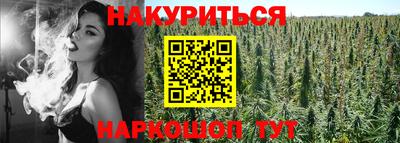 индика Коммунар