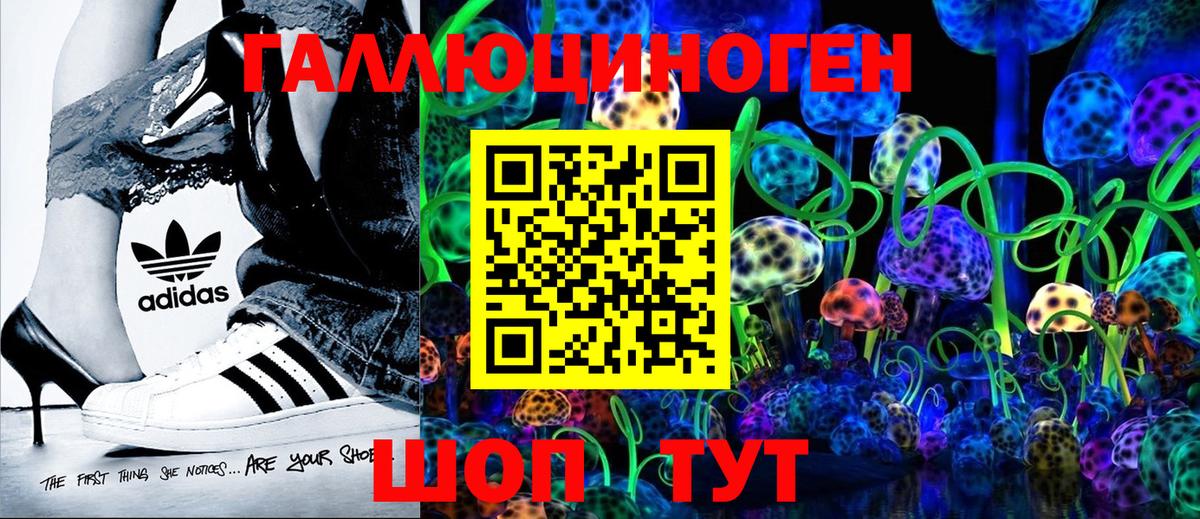 Псилоцибиновые грибы Magic Shrooms  Вход с VPN  купить  сайты  Галлюциногенные грибы прущие грибы  Кузнецк 